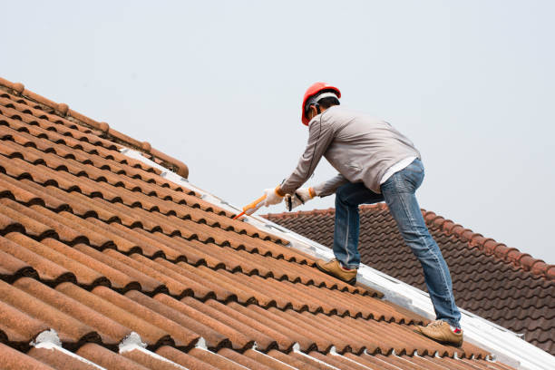 Best Roof Maintenance and Cleaning  in Bellevue, ID