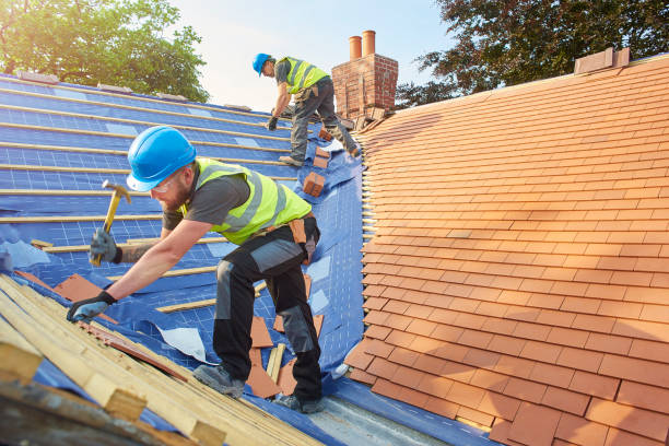 Best Skylight Installation and Repair  in Bellevue, ID